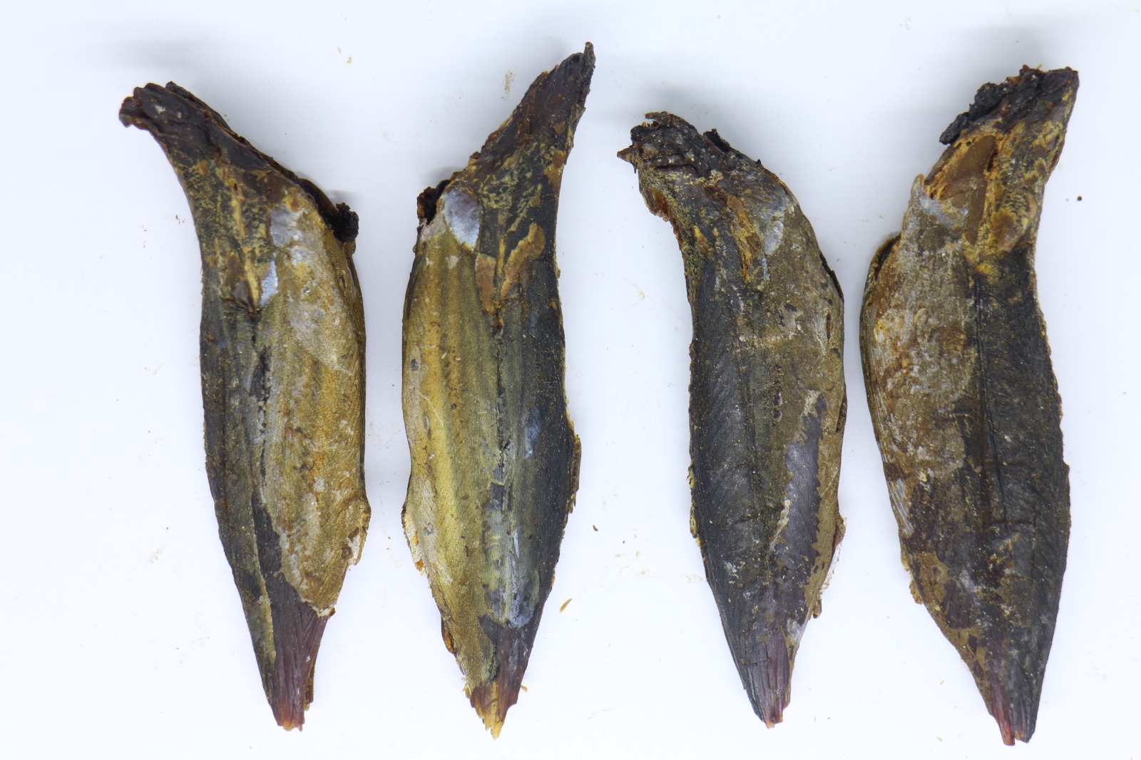 Katsuobushi — foto produk 1
