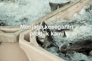 Cara Menjaga Kesegaran Ikan Tetap Terjaga